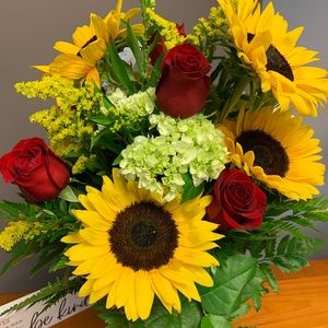 Meet your Posher, Lesley